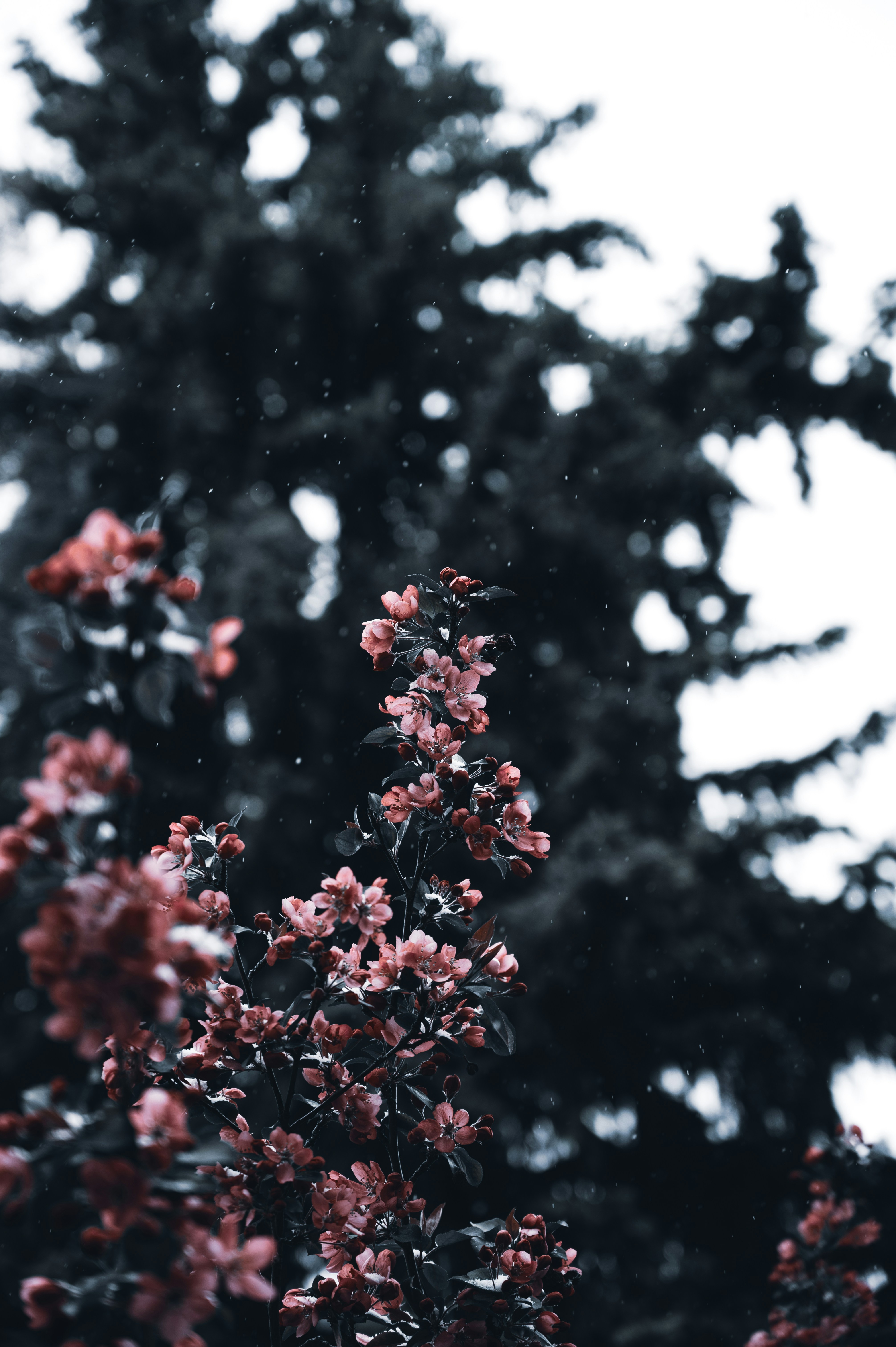 Photo by ryunosuke_kikuno