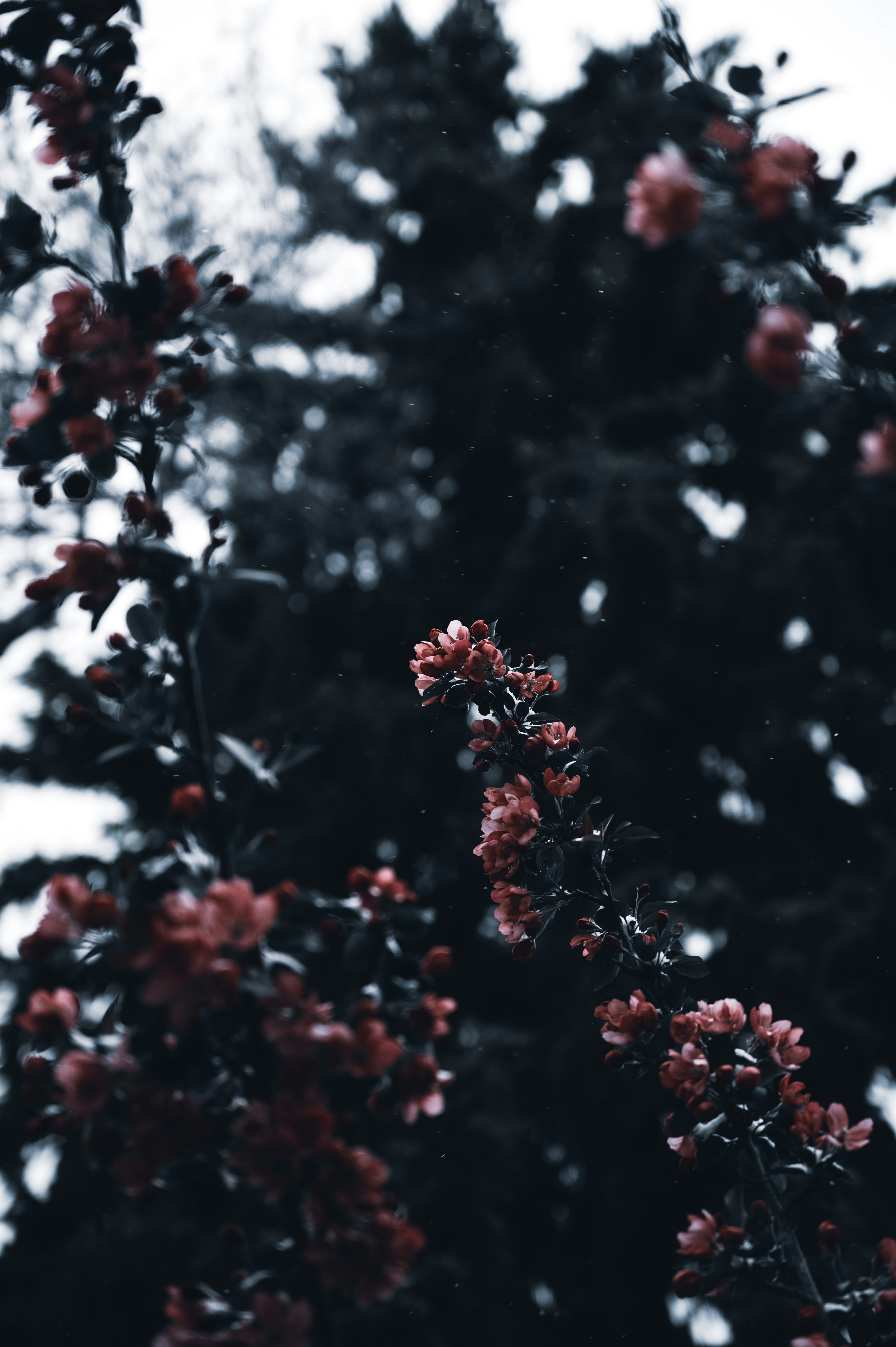 Photo by ryunosuke_kikuno