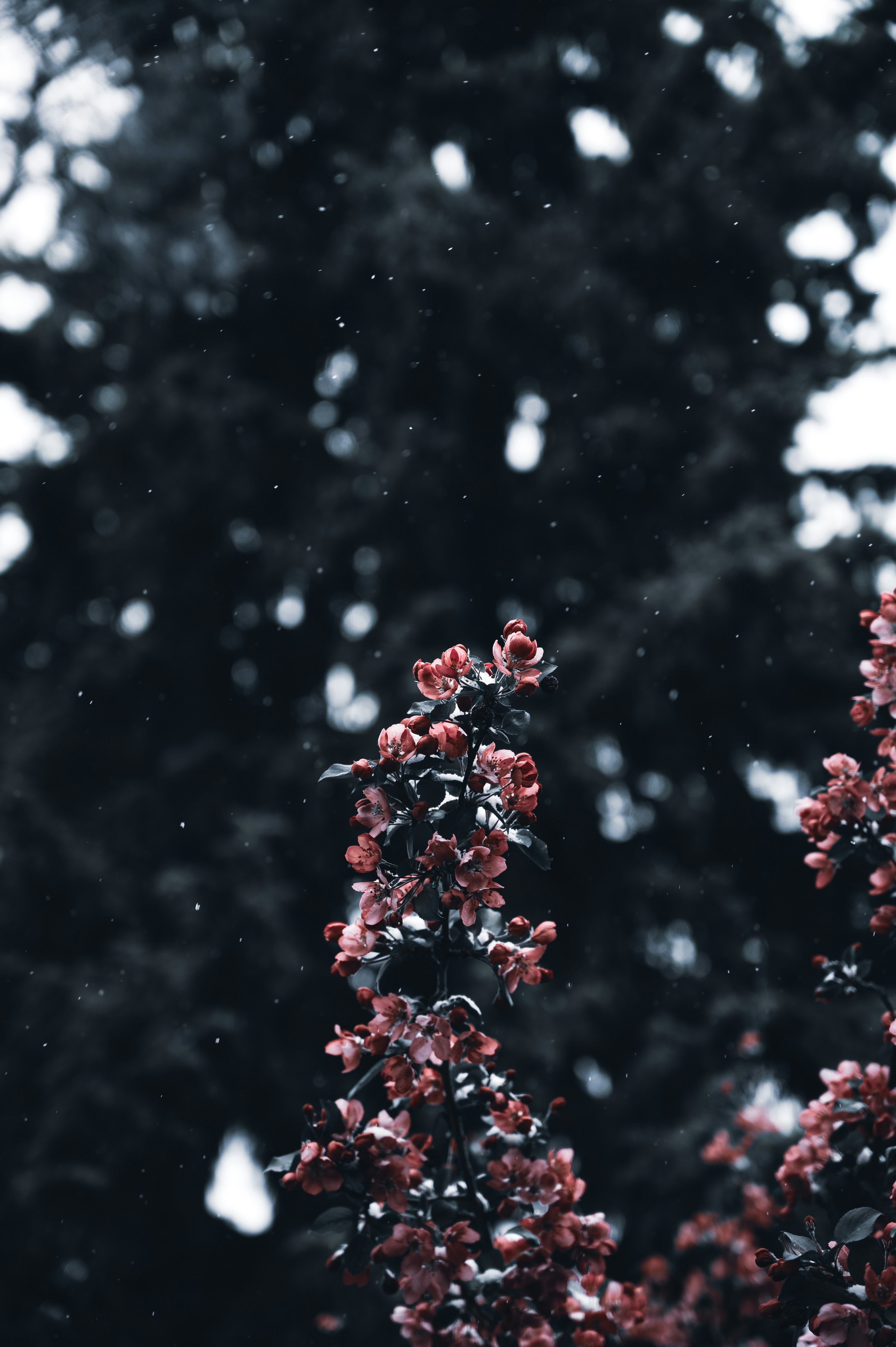 Photo by ryunosuke_kikuno