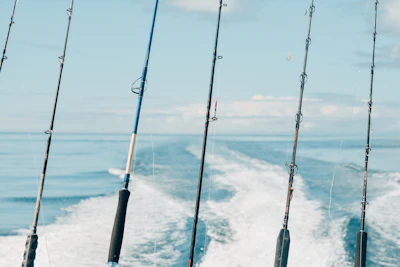 A group of friends laughing on a boat deck, fishing rods in hand