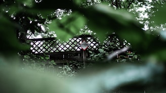 A wooden lattice fence partially obscured by dense green foliage with a security sign affixed to the fence. The image has a lush, natural setting indicating a quiet, secluded area.