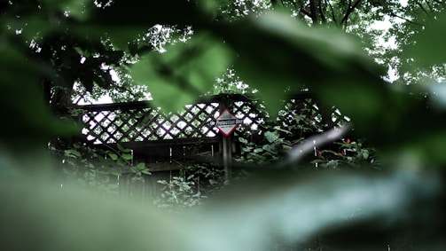 A wooden lattice fence partially obscured by dense green foliage with a security sign affixed to the fence. The image has a lush, natural setting indicating a quiet, secluded area.