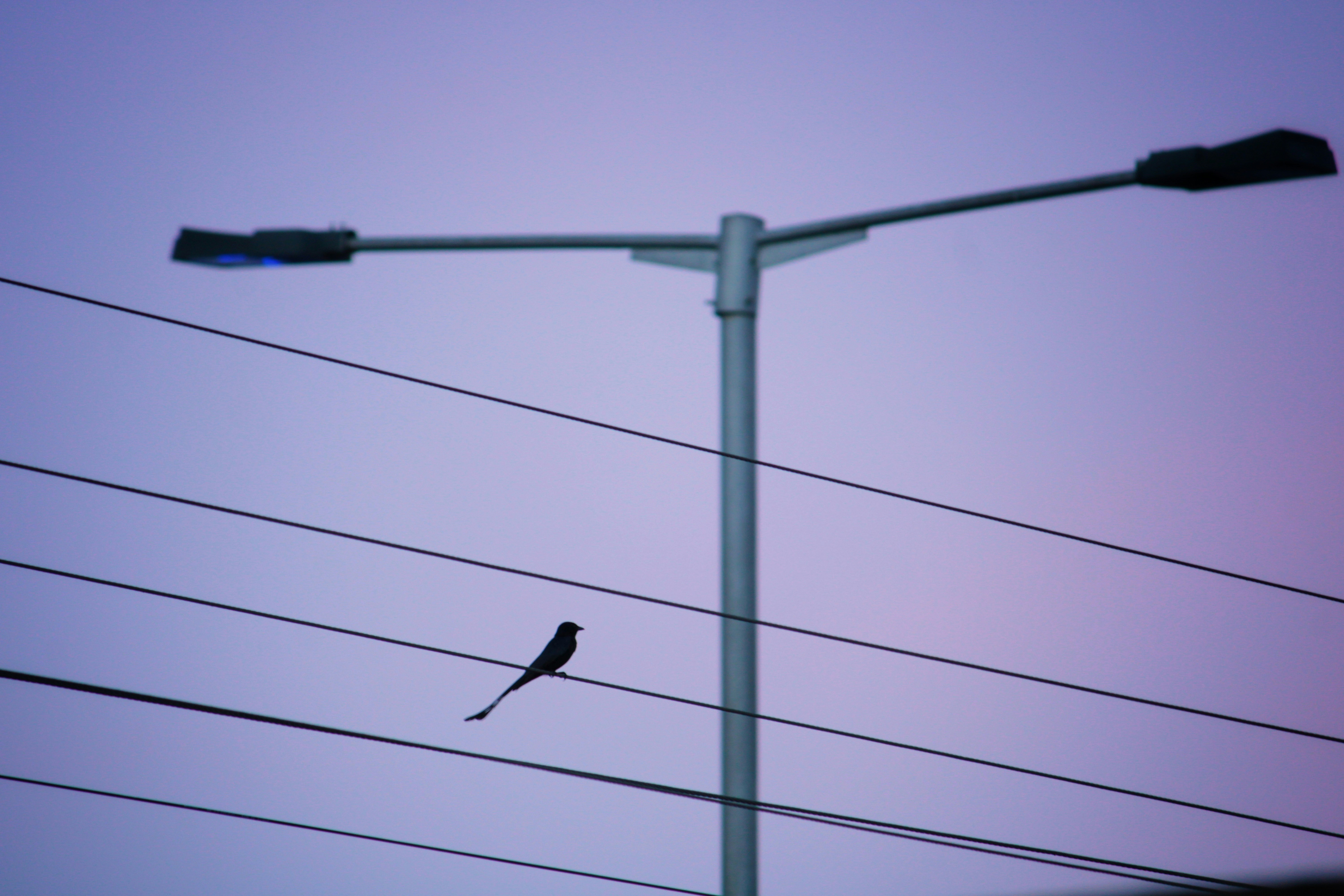 Photo by indianhobbyphotographer