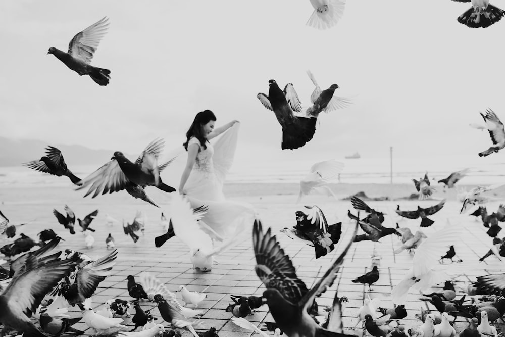 grayscale photo of birds flying