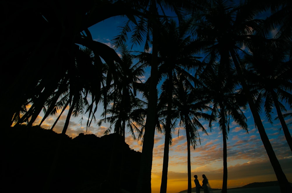 silhouette of 2 people standing on beach shore during sunset