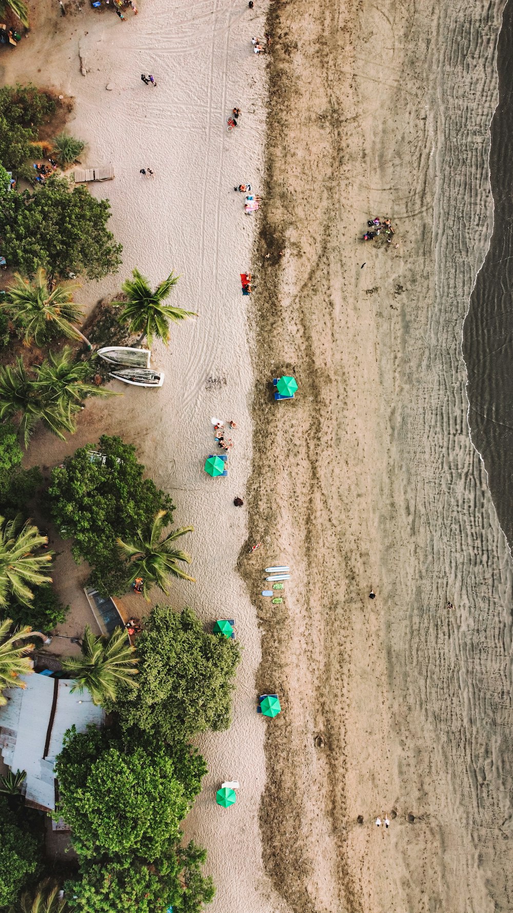 green and blue christmas tree on brown sand