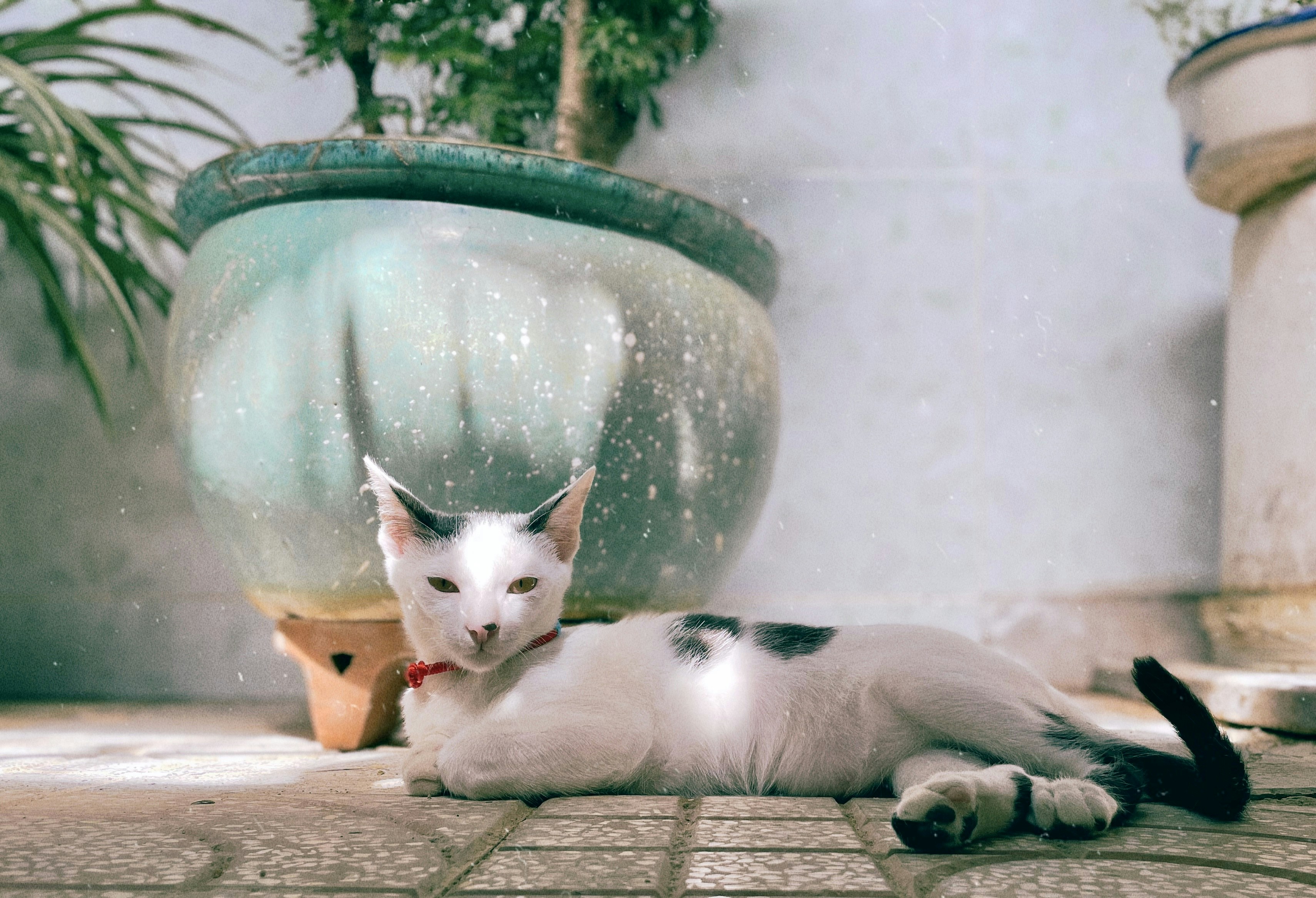 Photo by trungducbr93