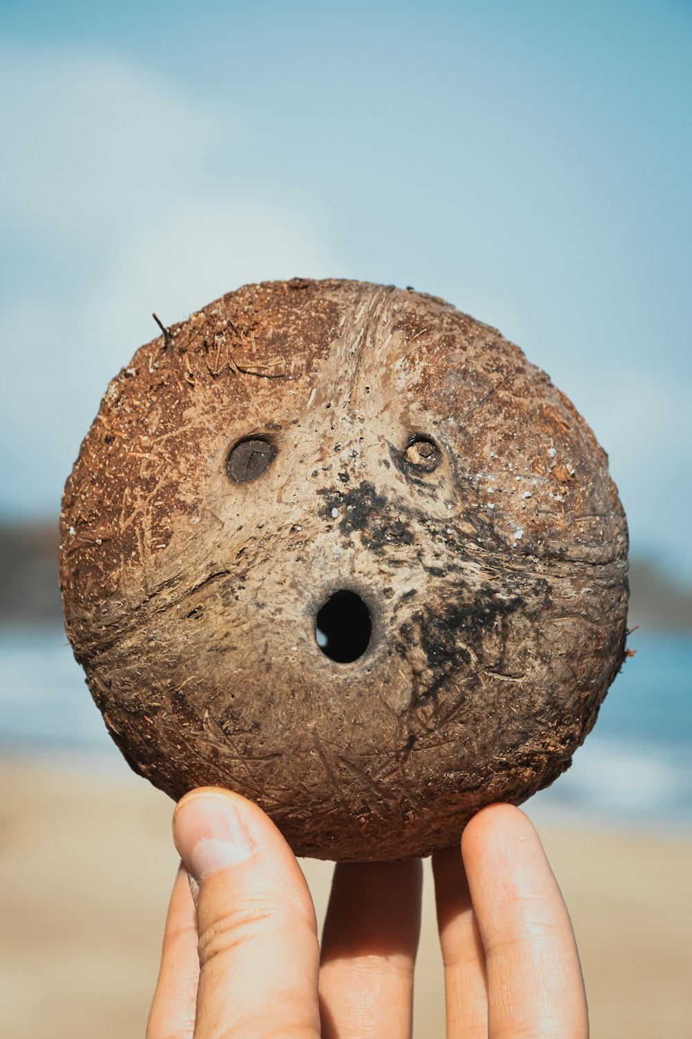 Persona sosteniendo una piedra redonda marrón