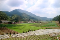 A scenic view of the agricultural fields surrounding Sagali village.