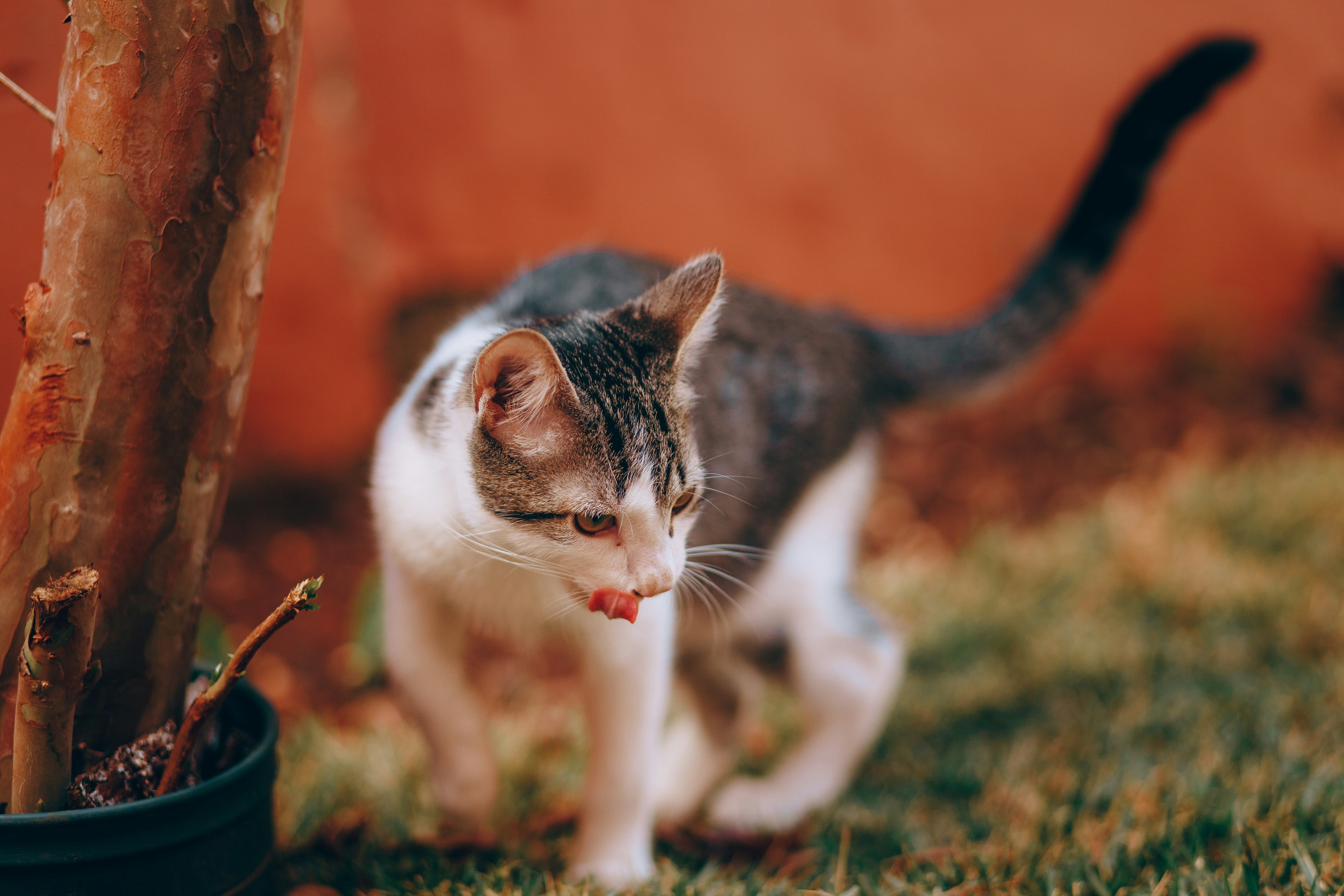 Photo by helenalopesph