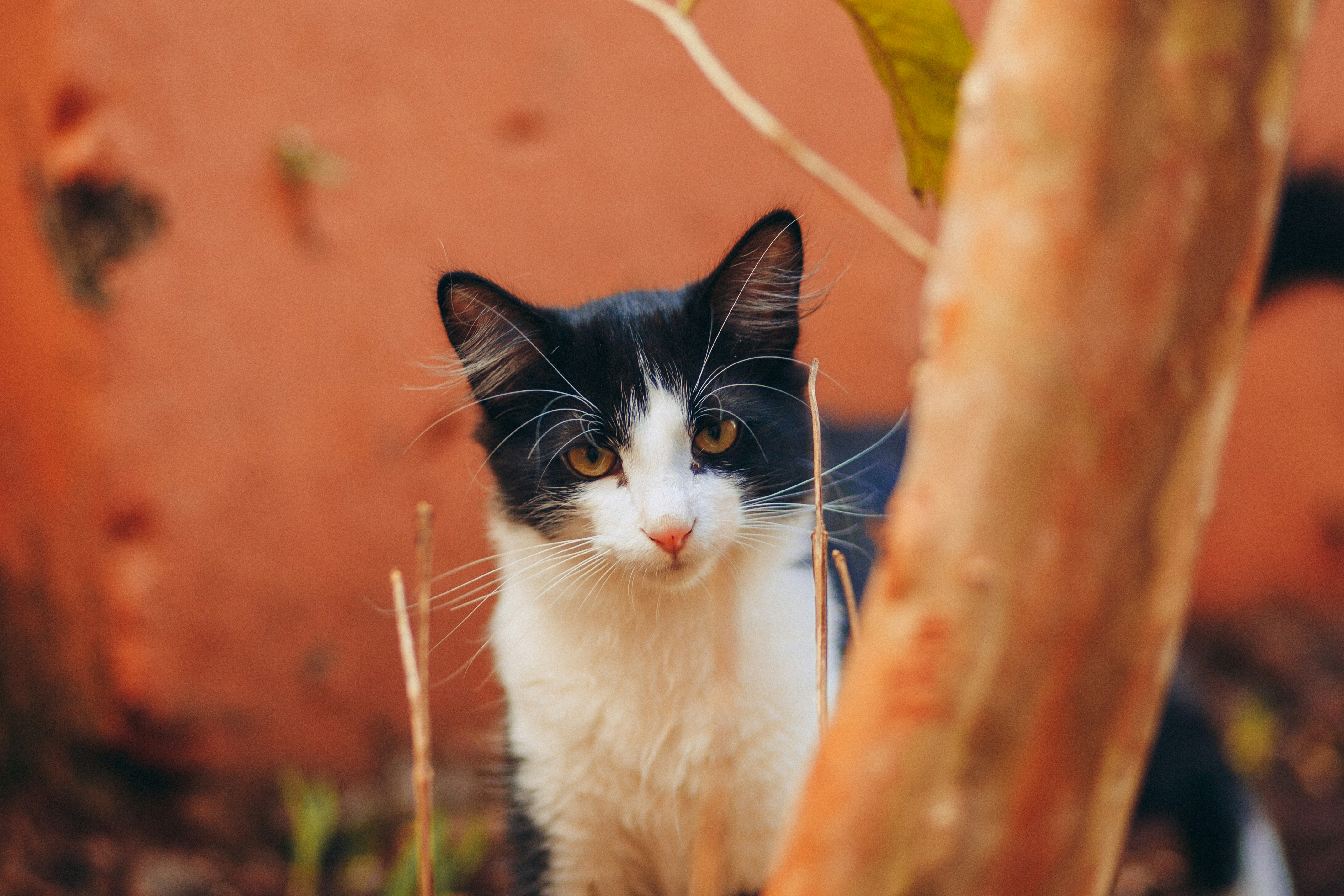 Photo by helenalopesph