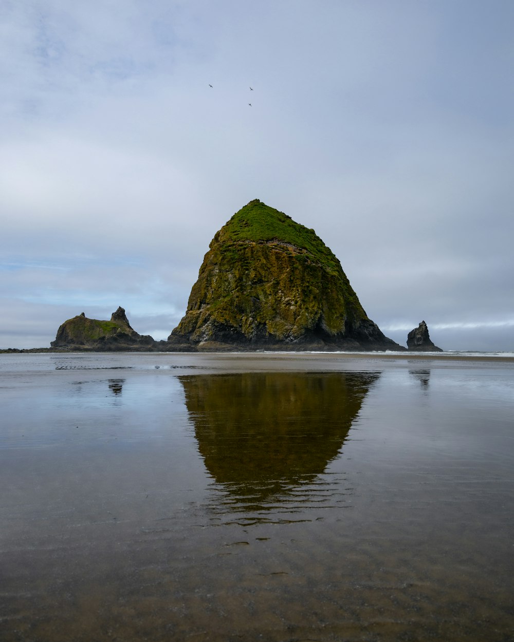 brown rock formation on sea shore during daytime