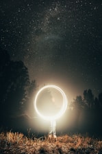 silhouette of trees under starry night