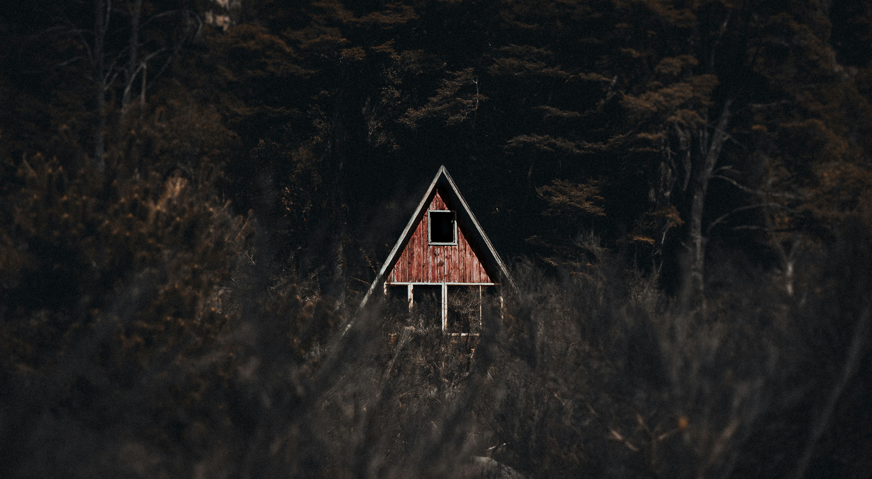 Photo by erikcm