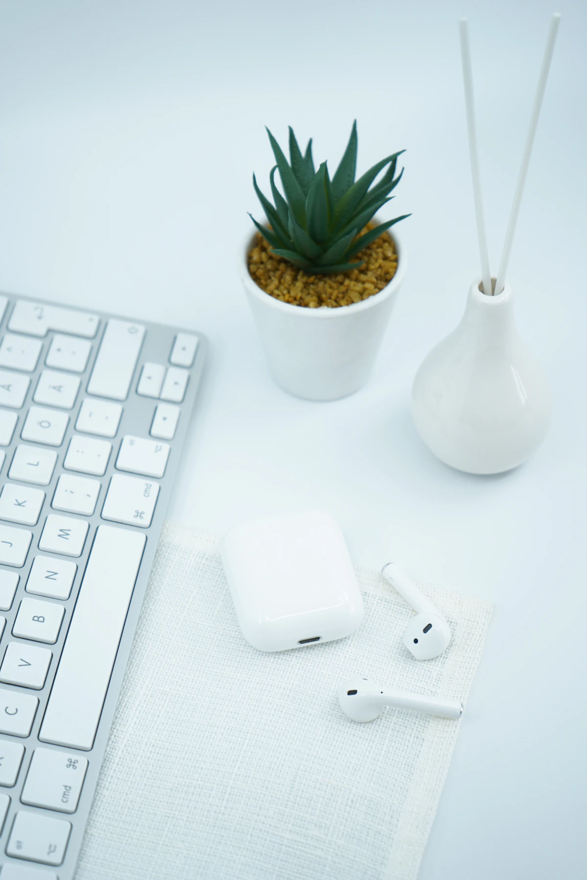 A keyboard, a green succulent and earbuds on a bright desk