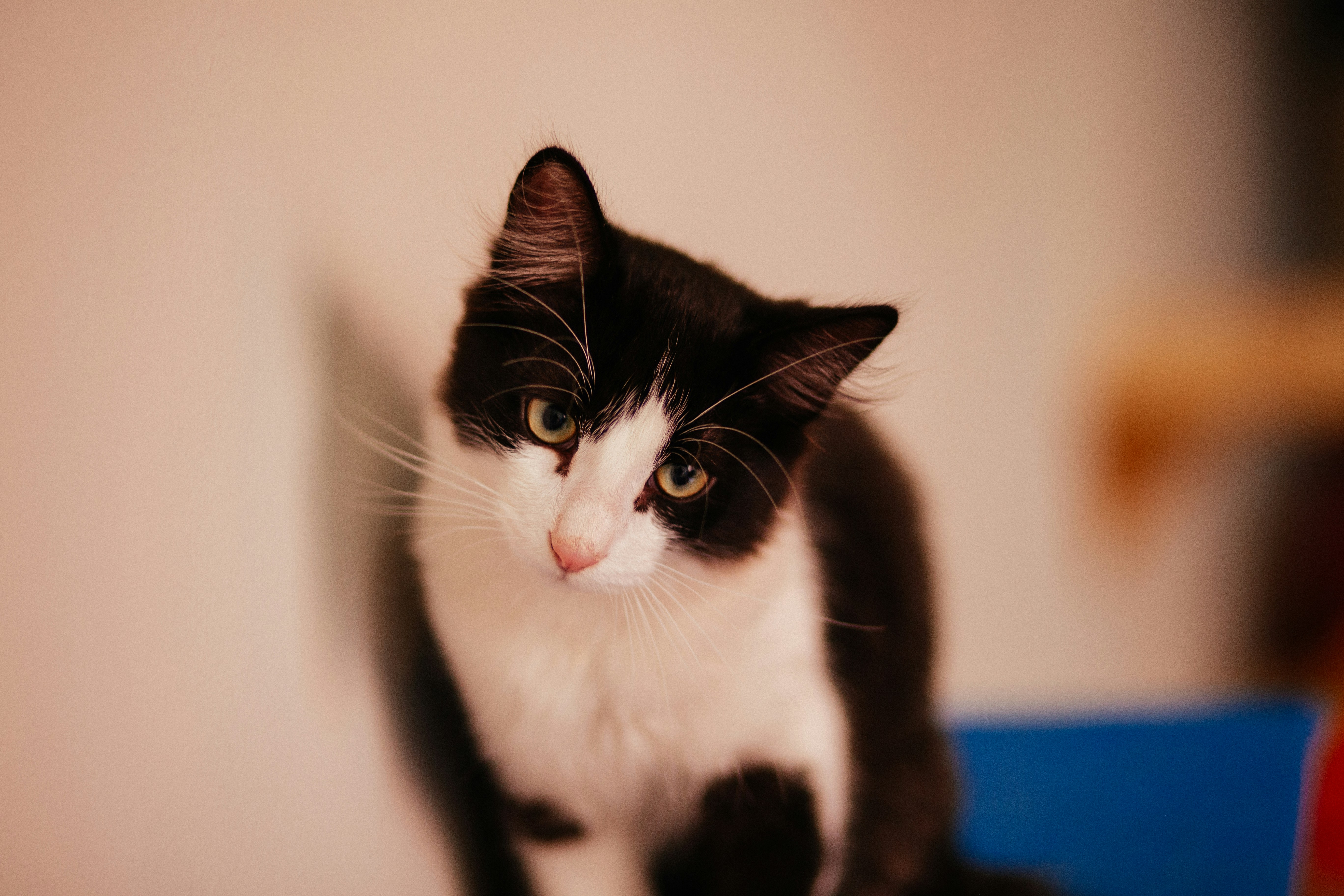 Photo by helenalopesph