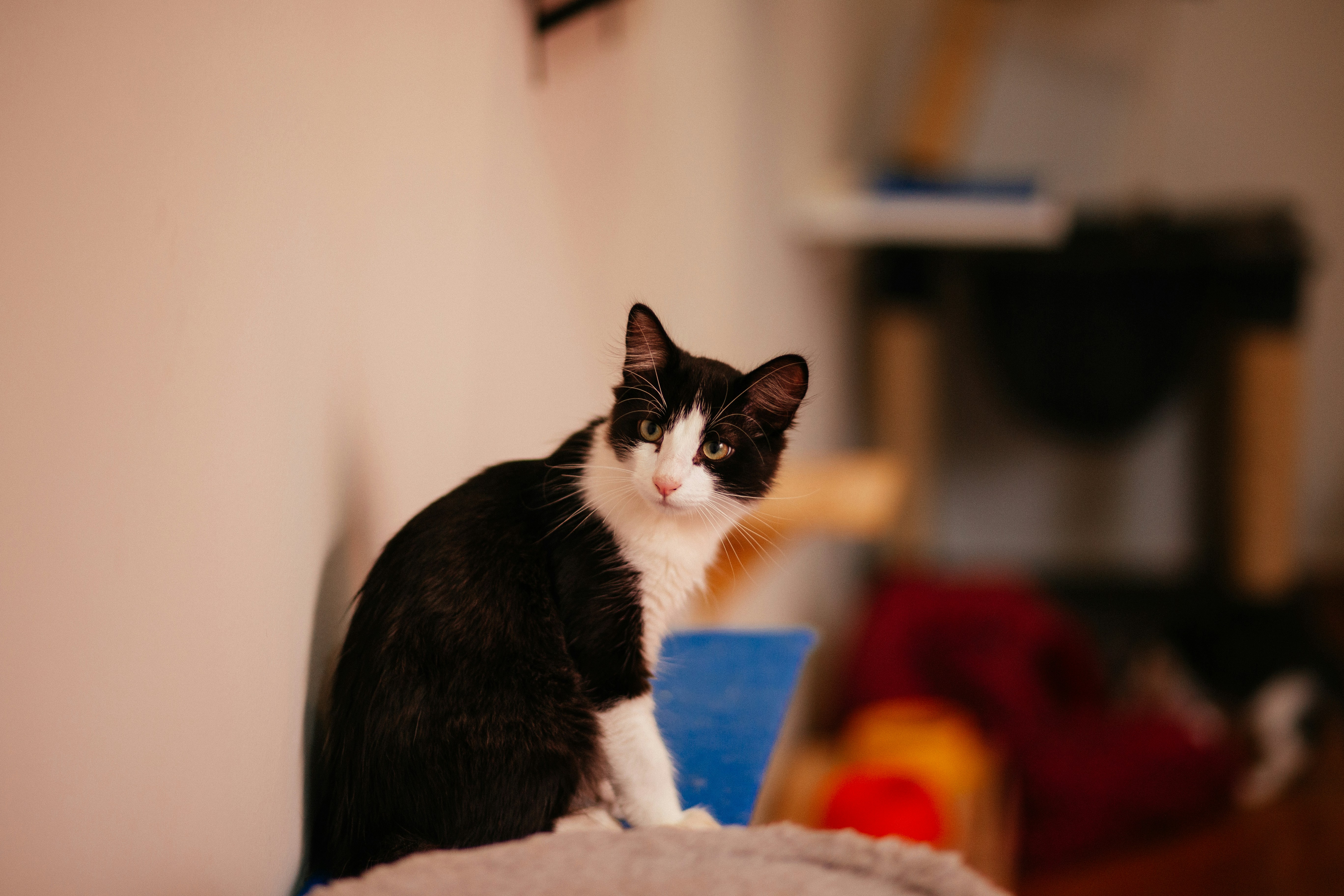 Photo by helenalopesph