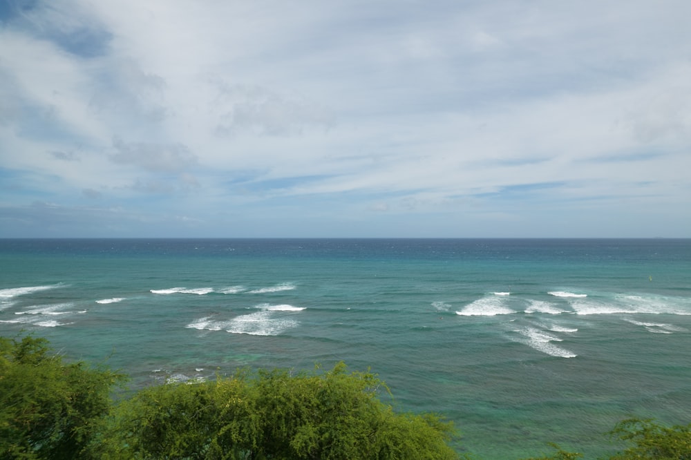 green trees near body of water under white clouds during daytime