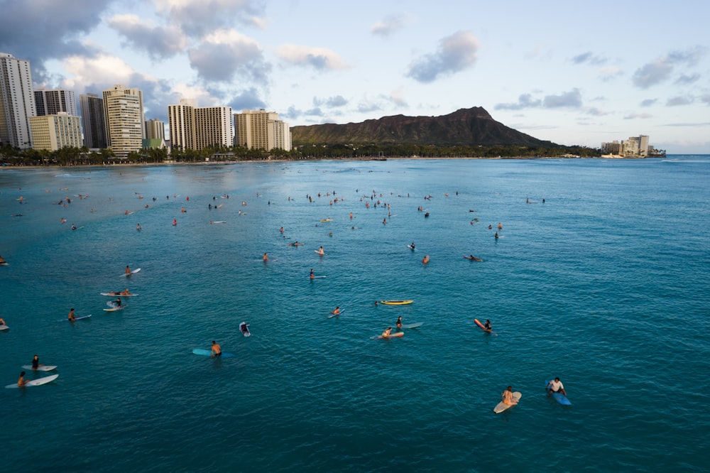 昼間、高層ビルの近くの海で泳ぐ人々