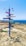 A colorful signpost stands on rocky terrain near a coastline, pointing to various global destinations, with distances written on each directional plank. The ocean is visible in the background, meeting a clear blue sky.