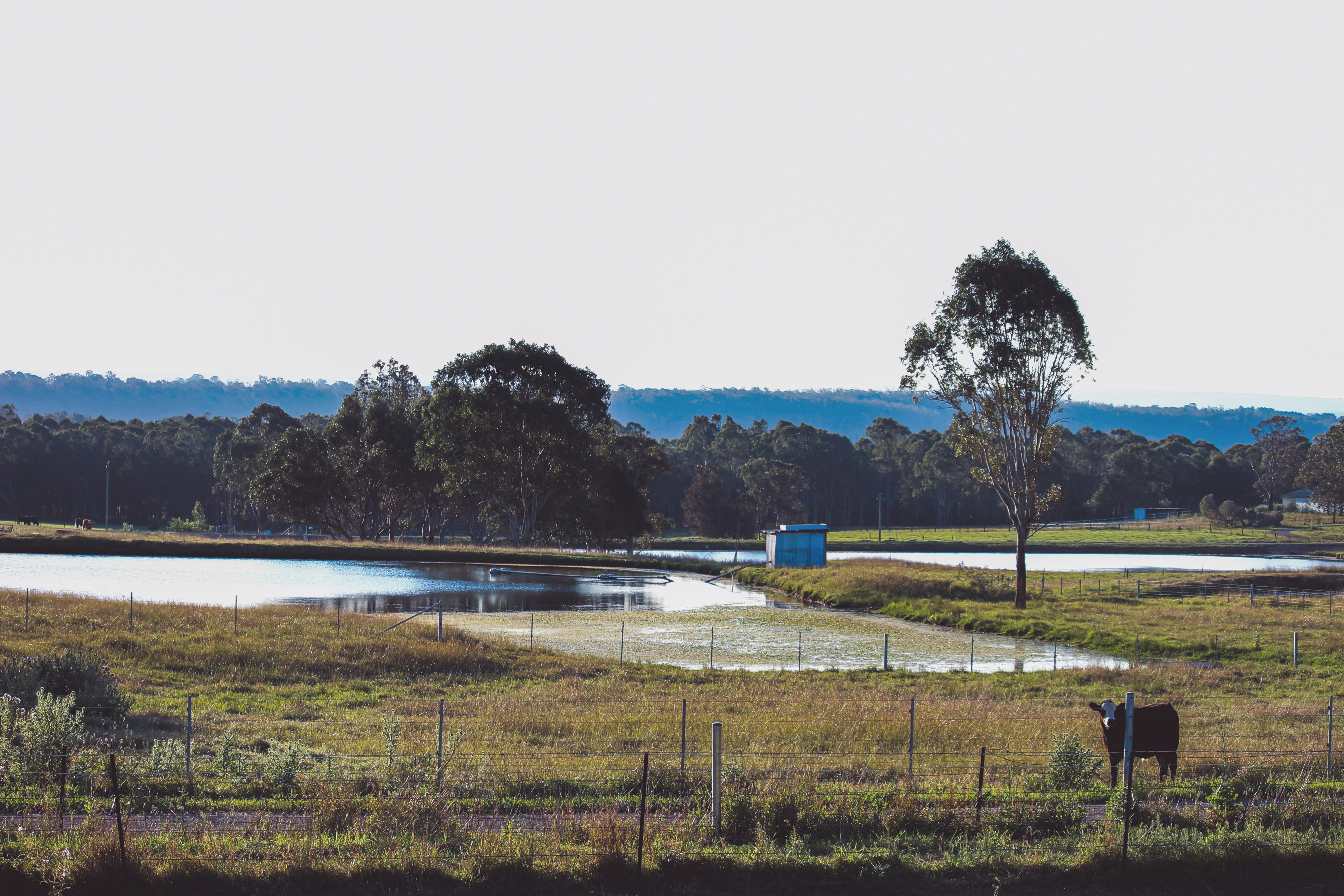 green grass field near body of water during daytime