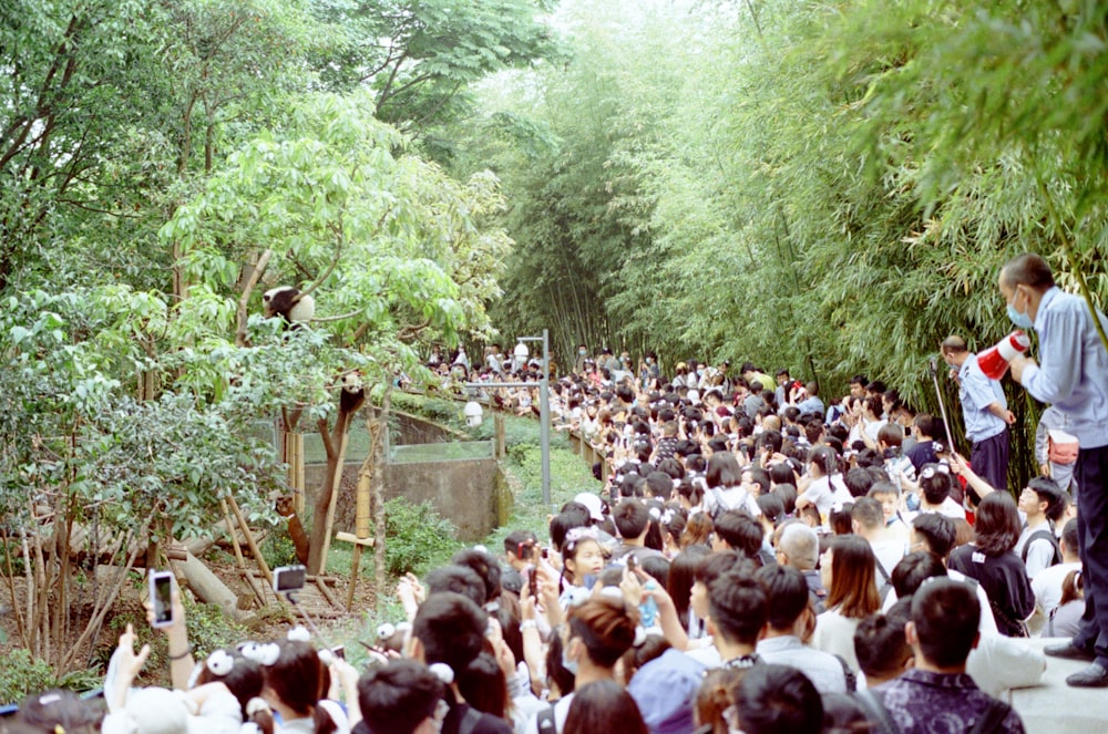 people gathering on a sunny day