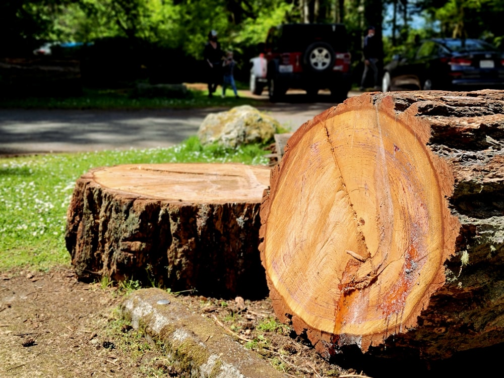 brown wood log on ground