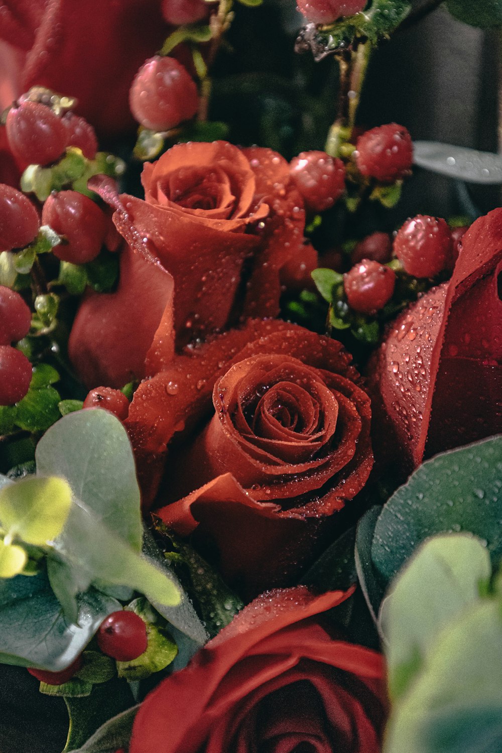 red roses with green leaves