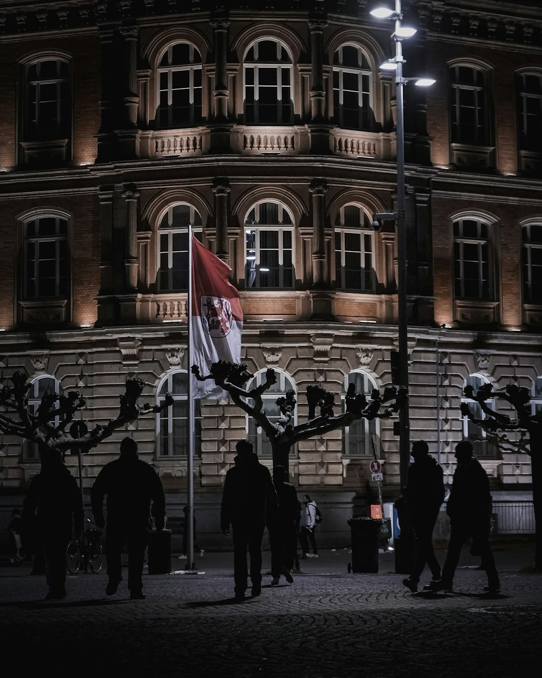 people walking on street with flags during daytime