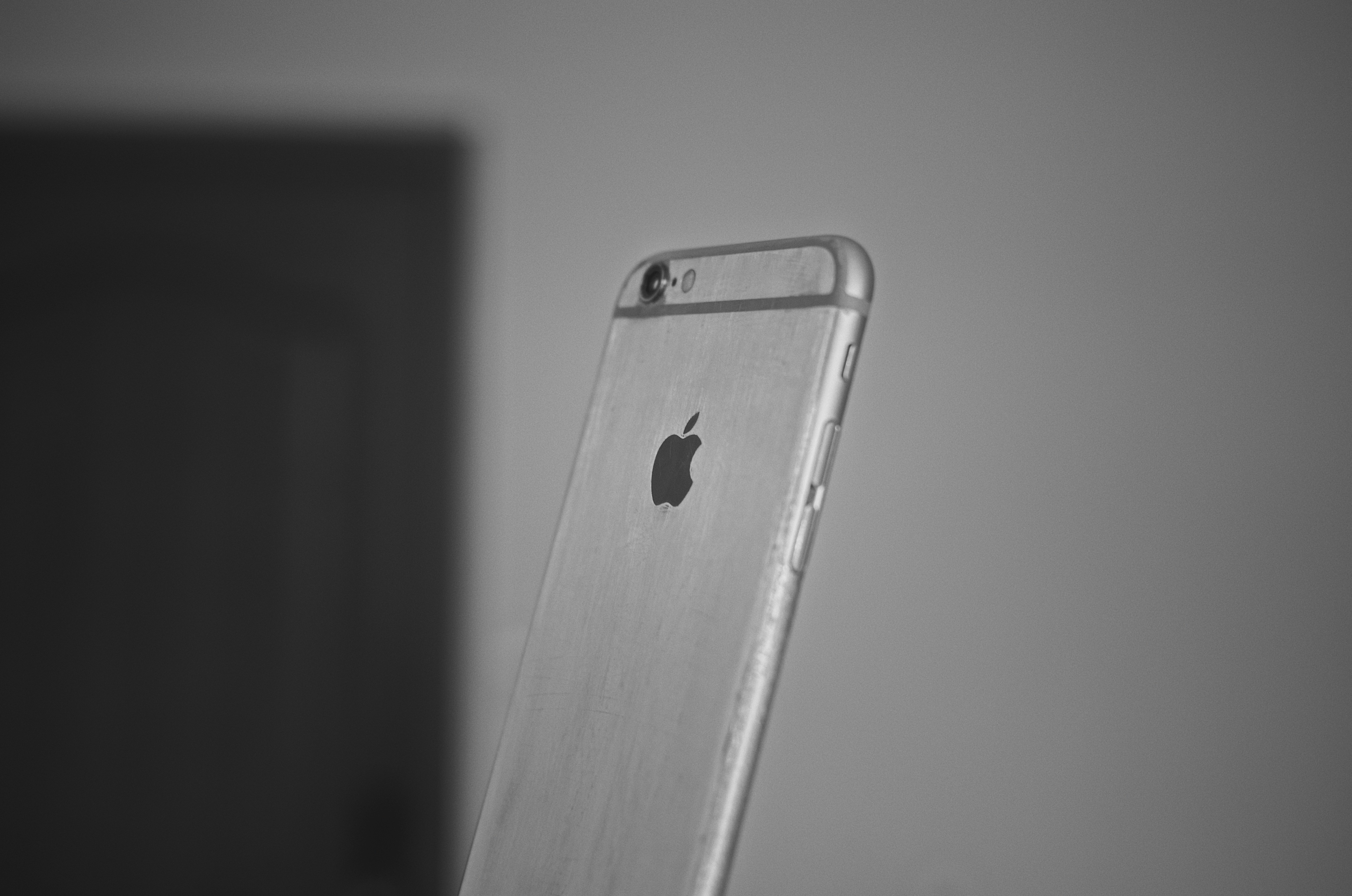 Photo by jizhidexiaohailang