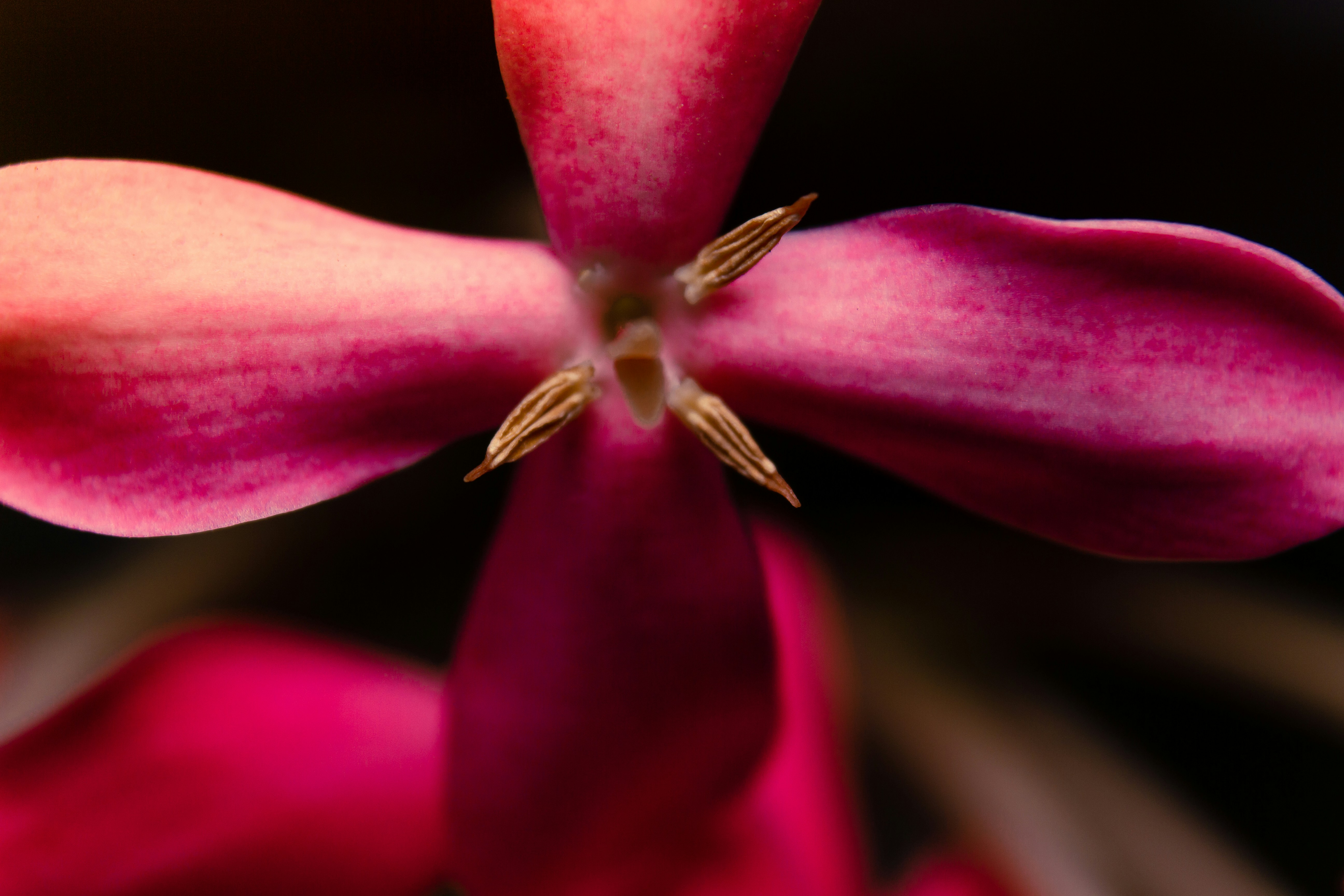 Exactly How Direct Medical Care Physicians Can Decrease Wait Times