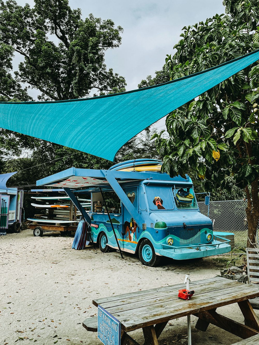 green and blue volkswagen beetle parked beside green tree during daytime