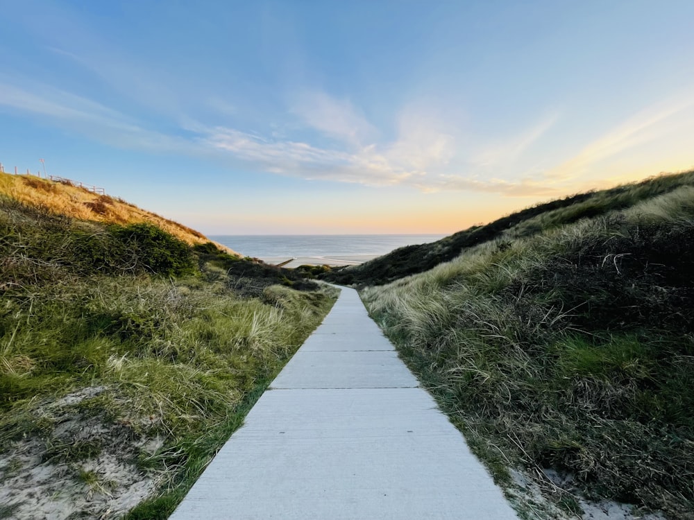 Grauer Betonweg zwischen grünem Grasfeld unter blauem Himmel tagsüber