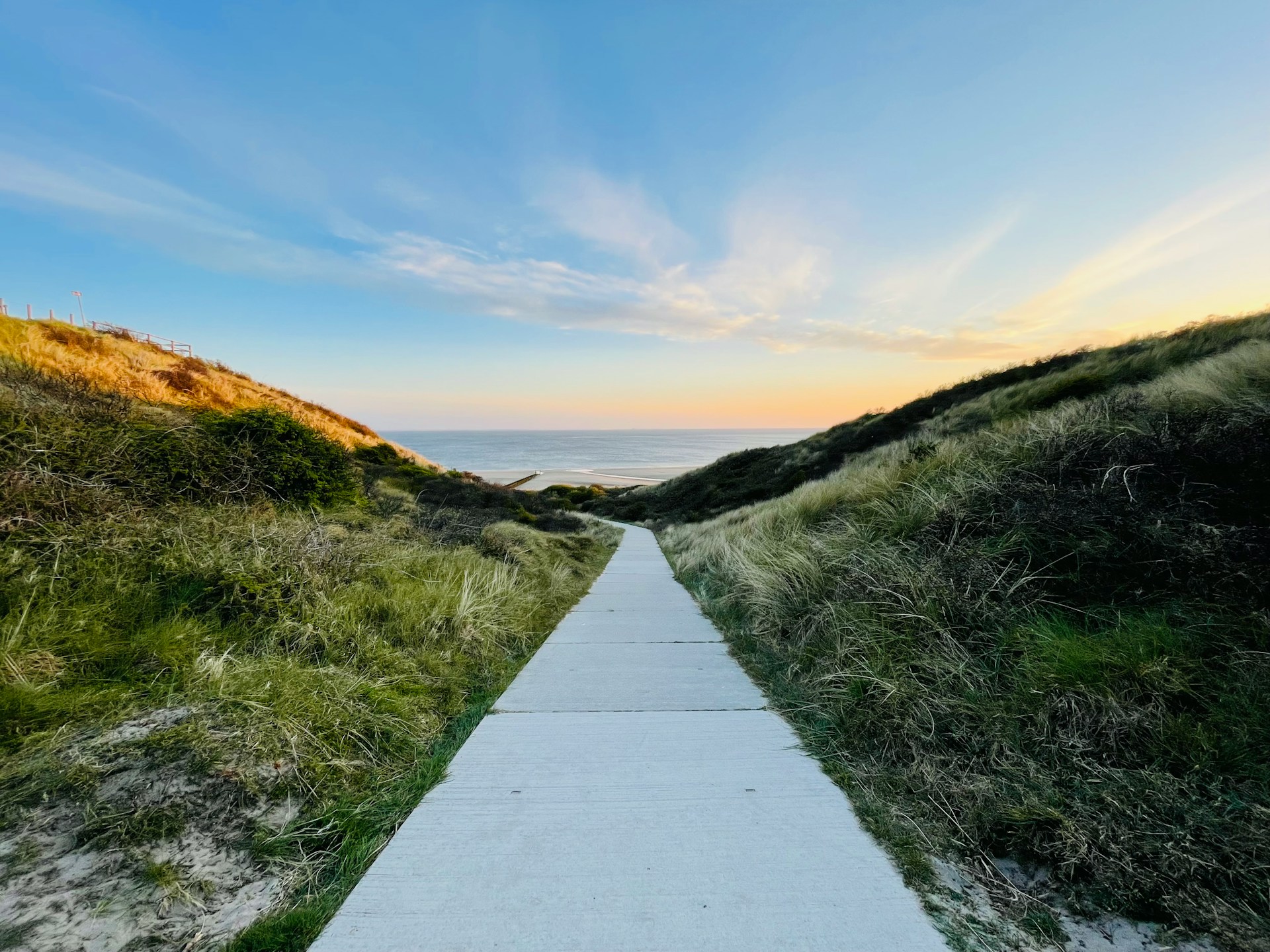 Aligning Career Paths with Innate Temperament