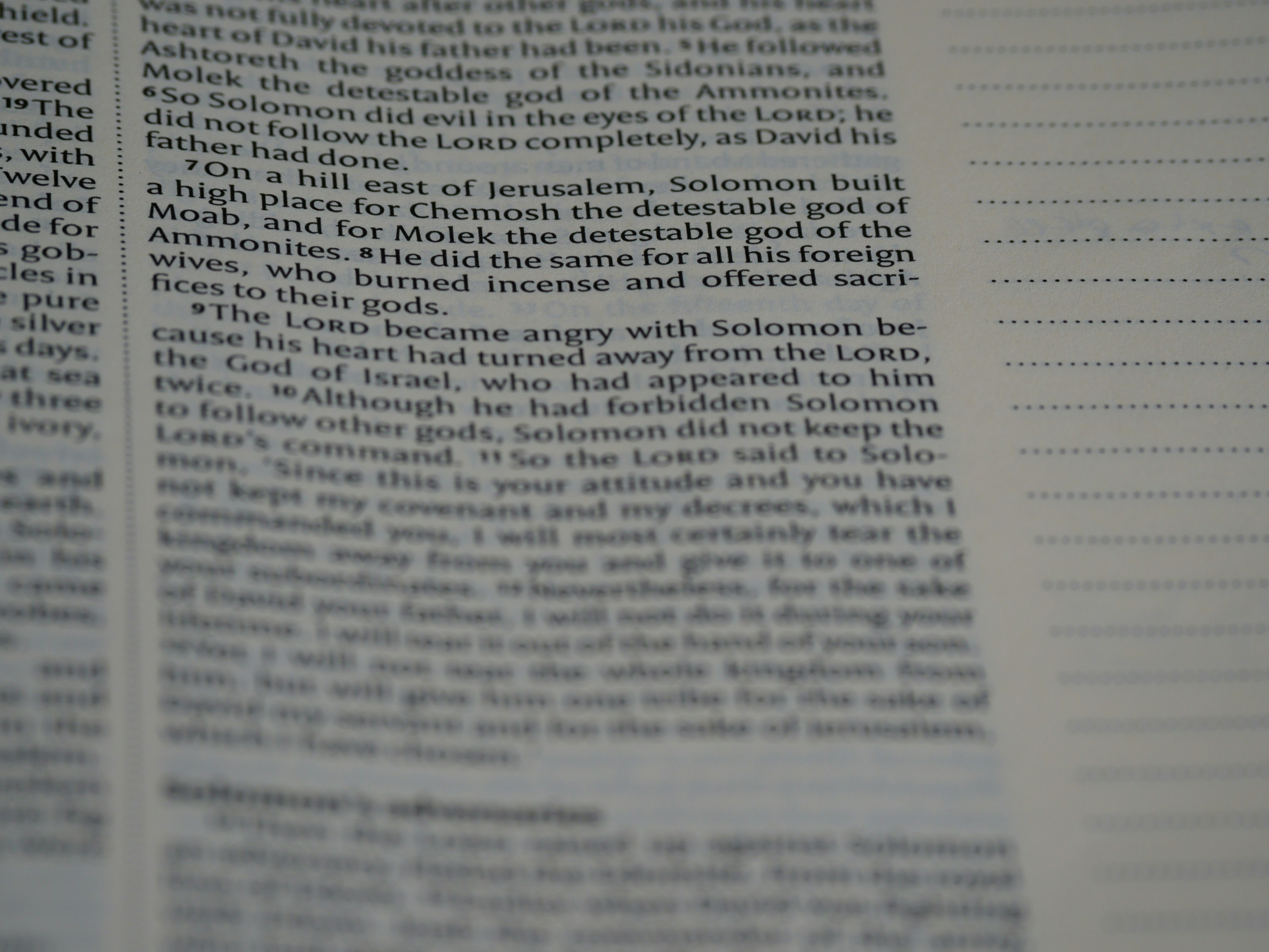 Photo by brett_jordan