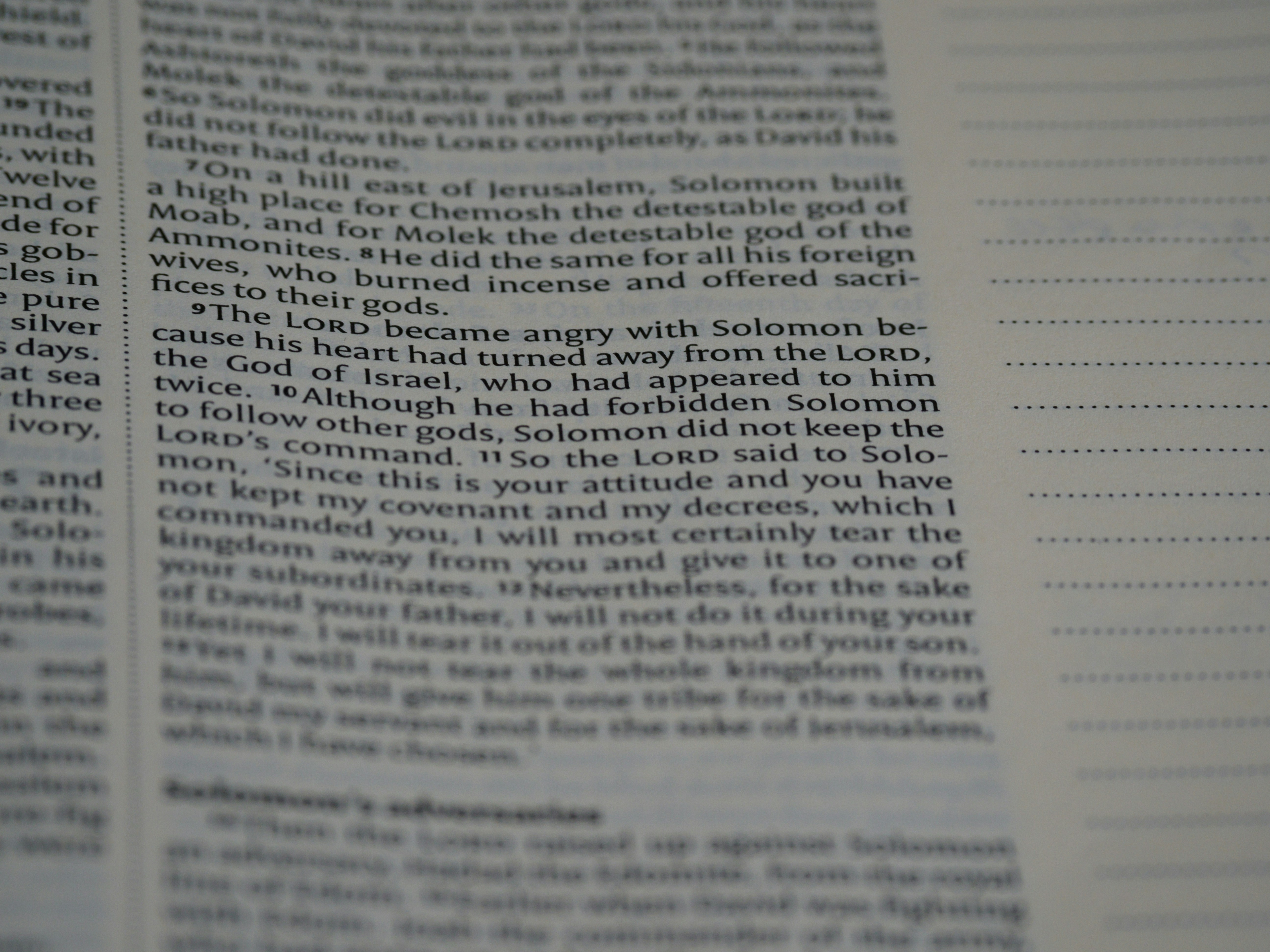 Photo by brett_jordan