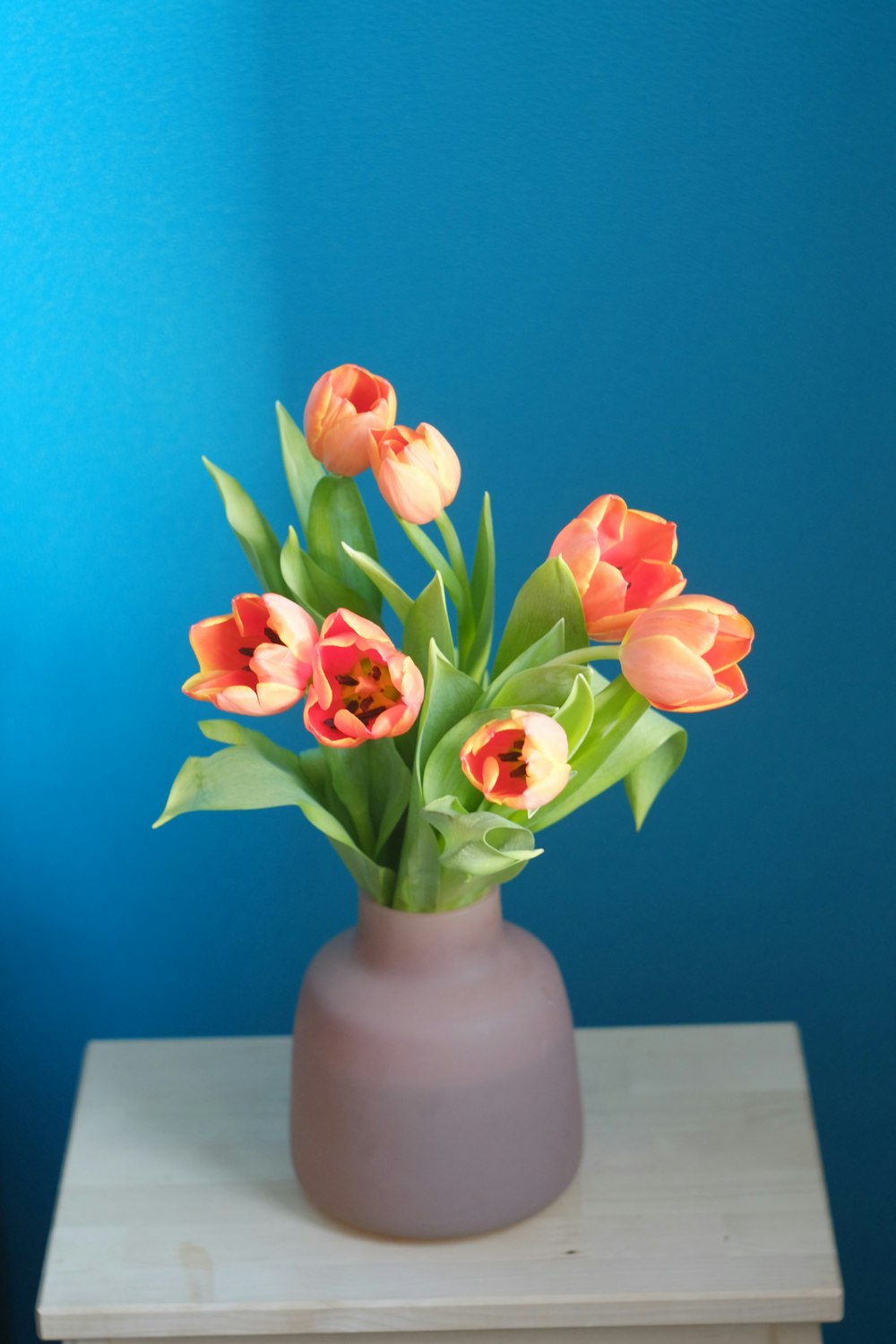 red and white tulips in white ceramic vase
