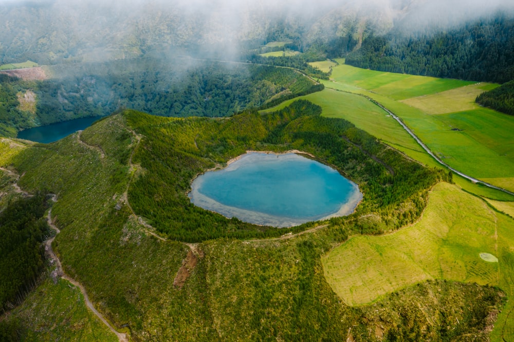 Vista aérea de árboles verdes y lago