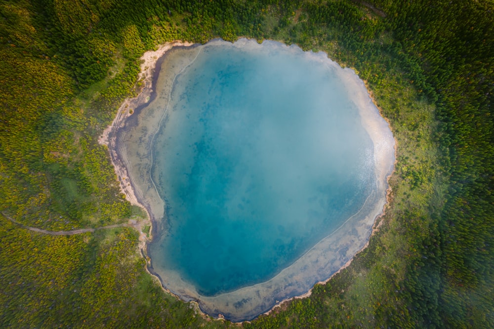 aerial view of green trees and body of water during daytime