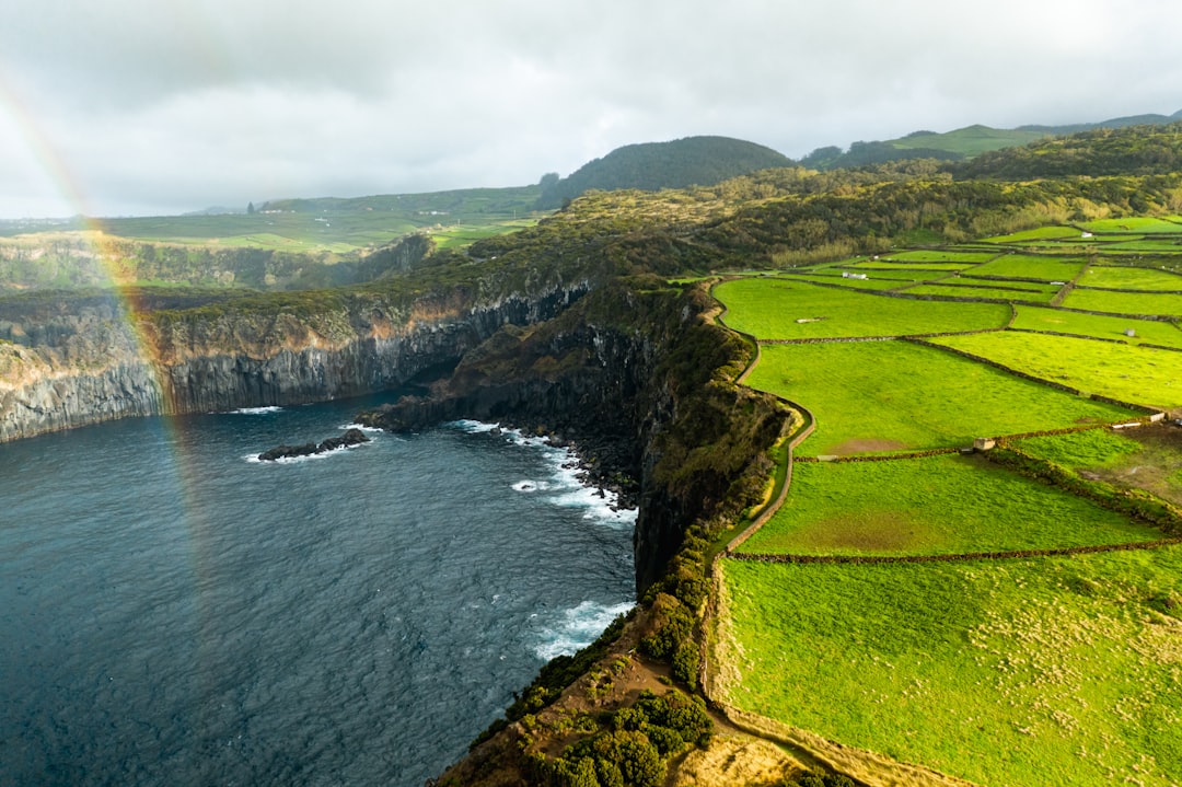 green grass field near body of water under white clouds during daytime