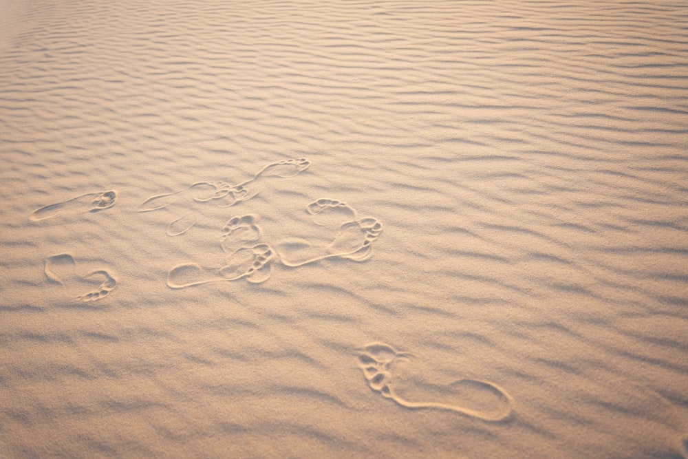 Wassertröpfchen auf braunem Sand