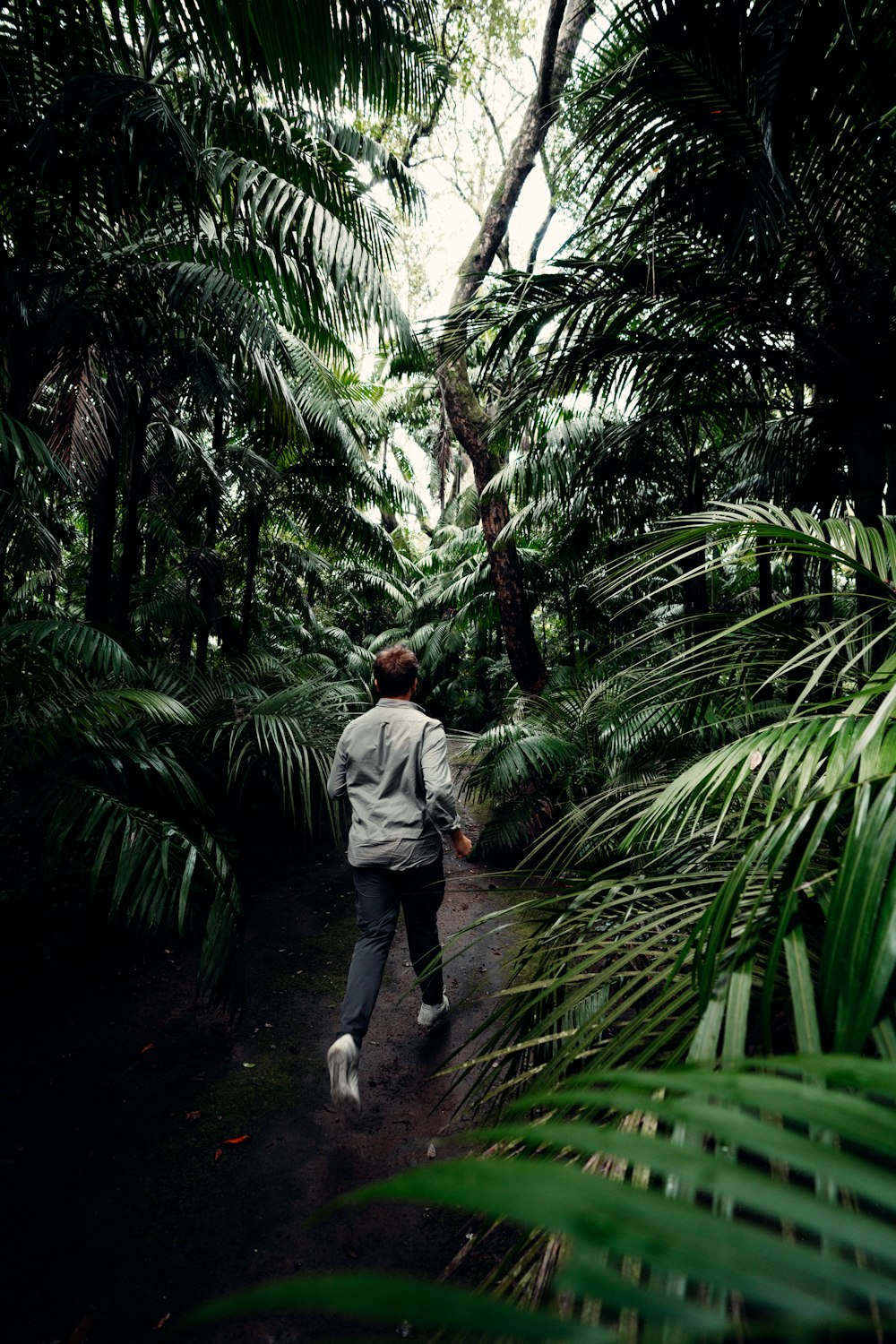 man in gray dress shirt and gray pants standing on green leaves