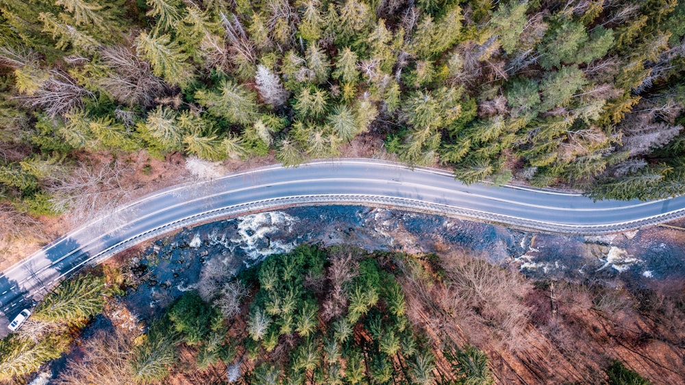 aerial view of road in the middle of trees