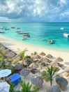 people on beach during daytime