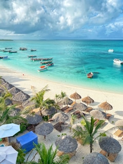 people on beach during daytime