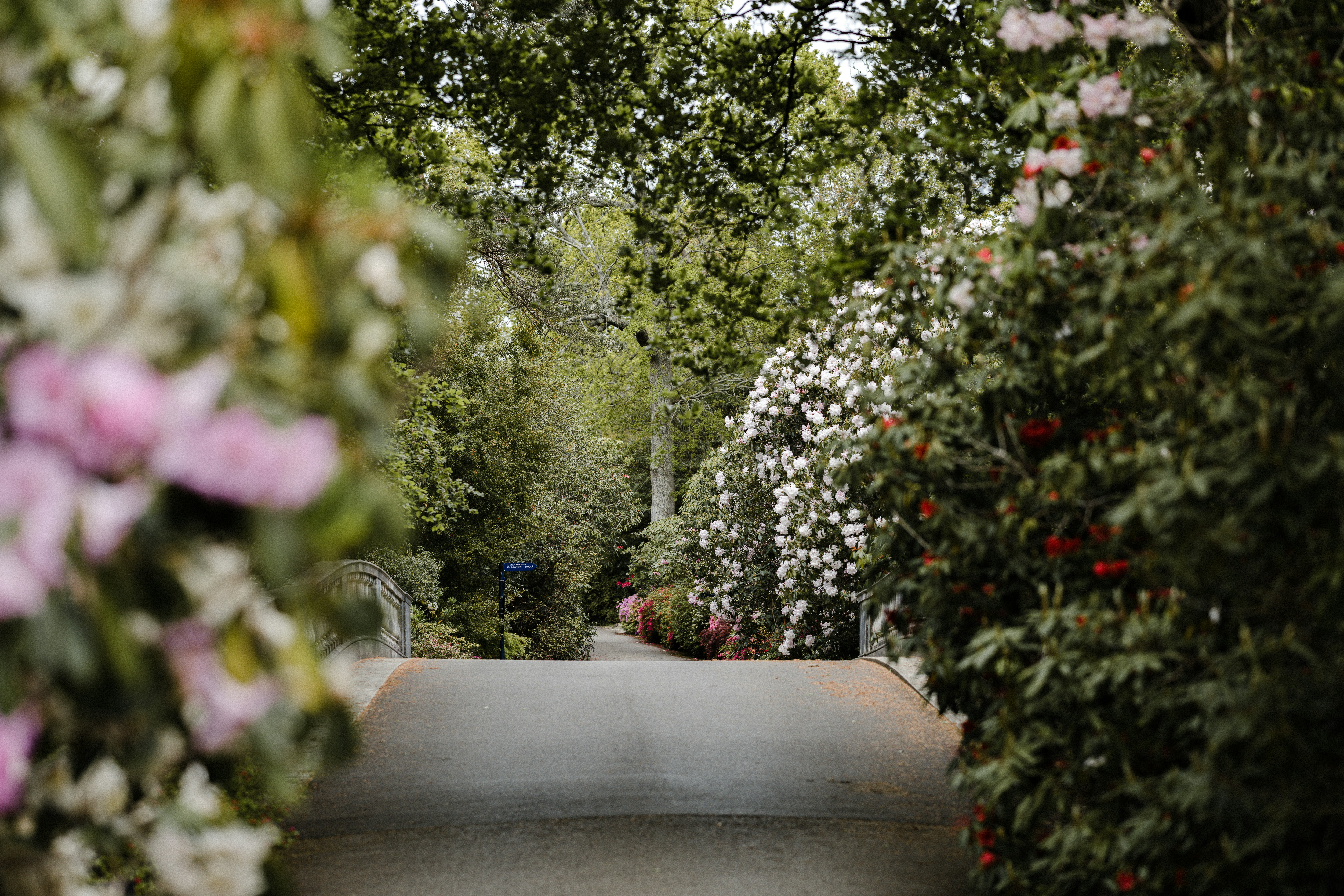 Photo by anniespratt