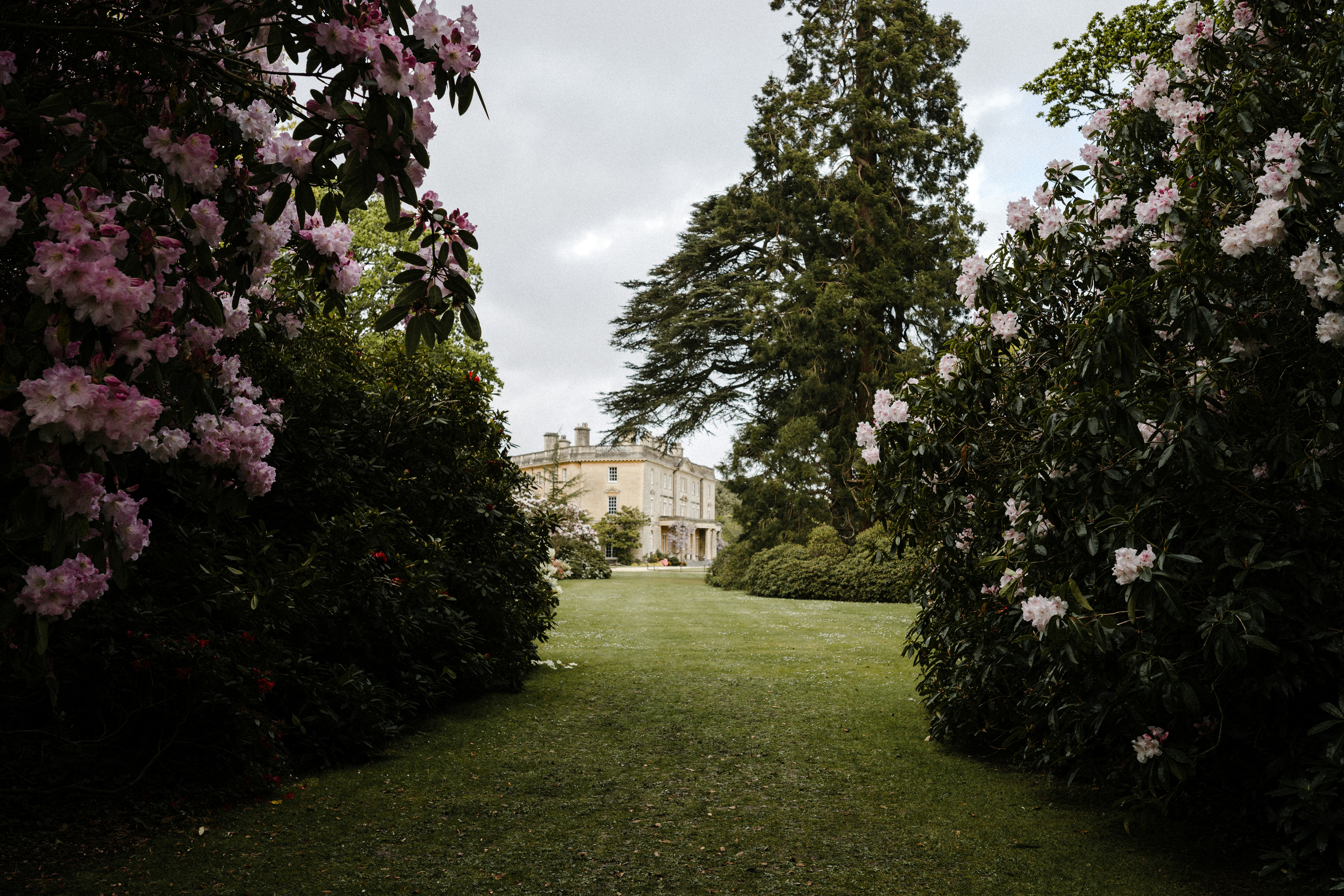 Photo by anniespratt