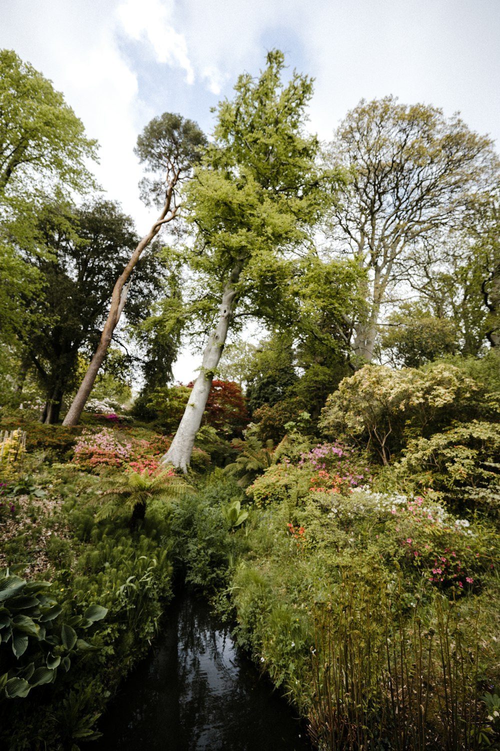 green trees and plants during daytime