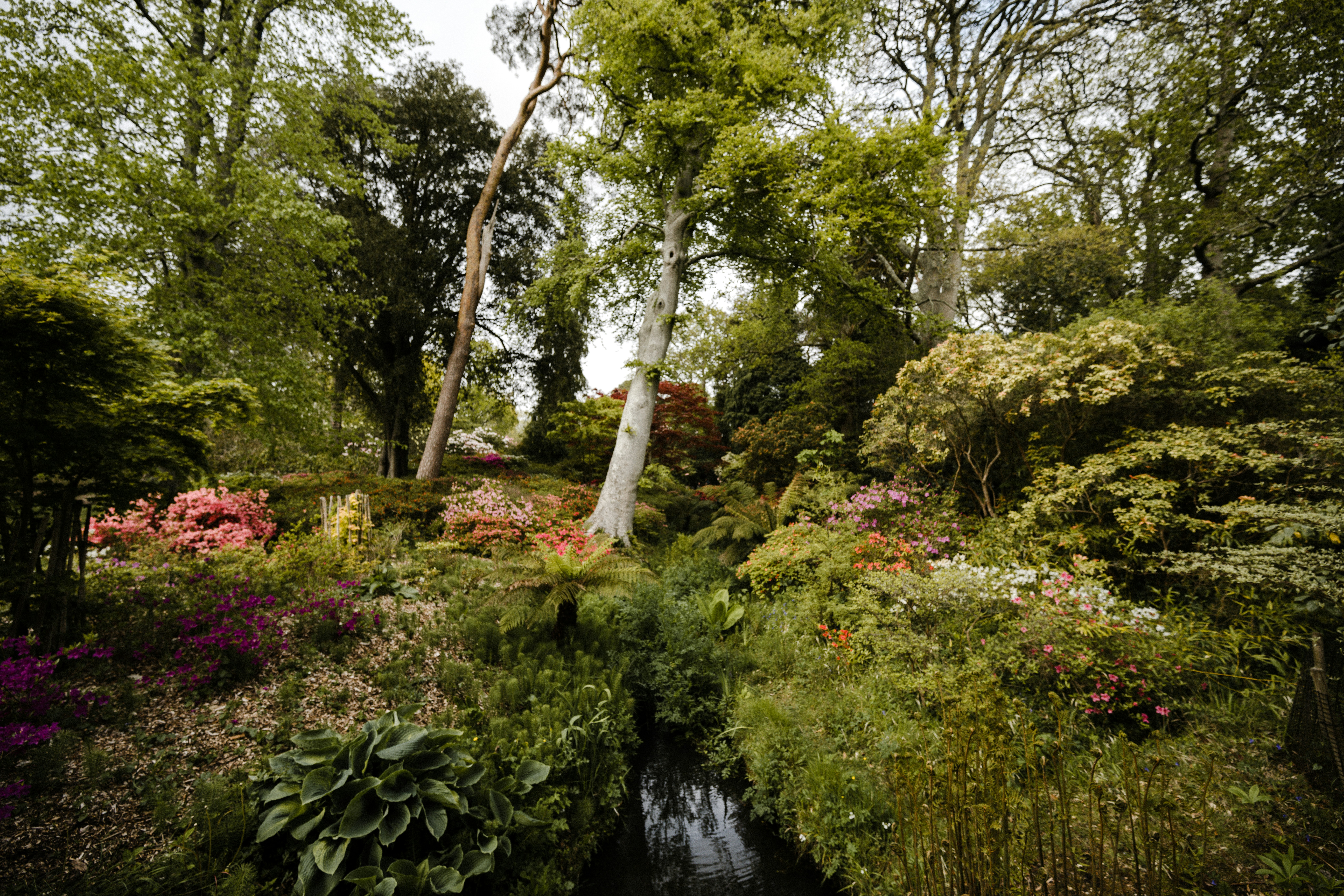 Photo by anniespratt