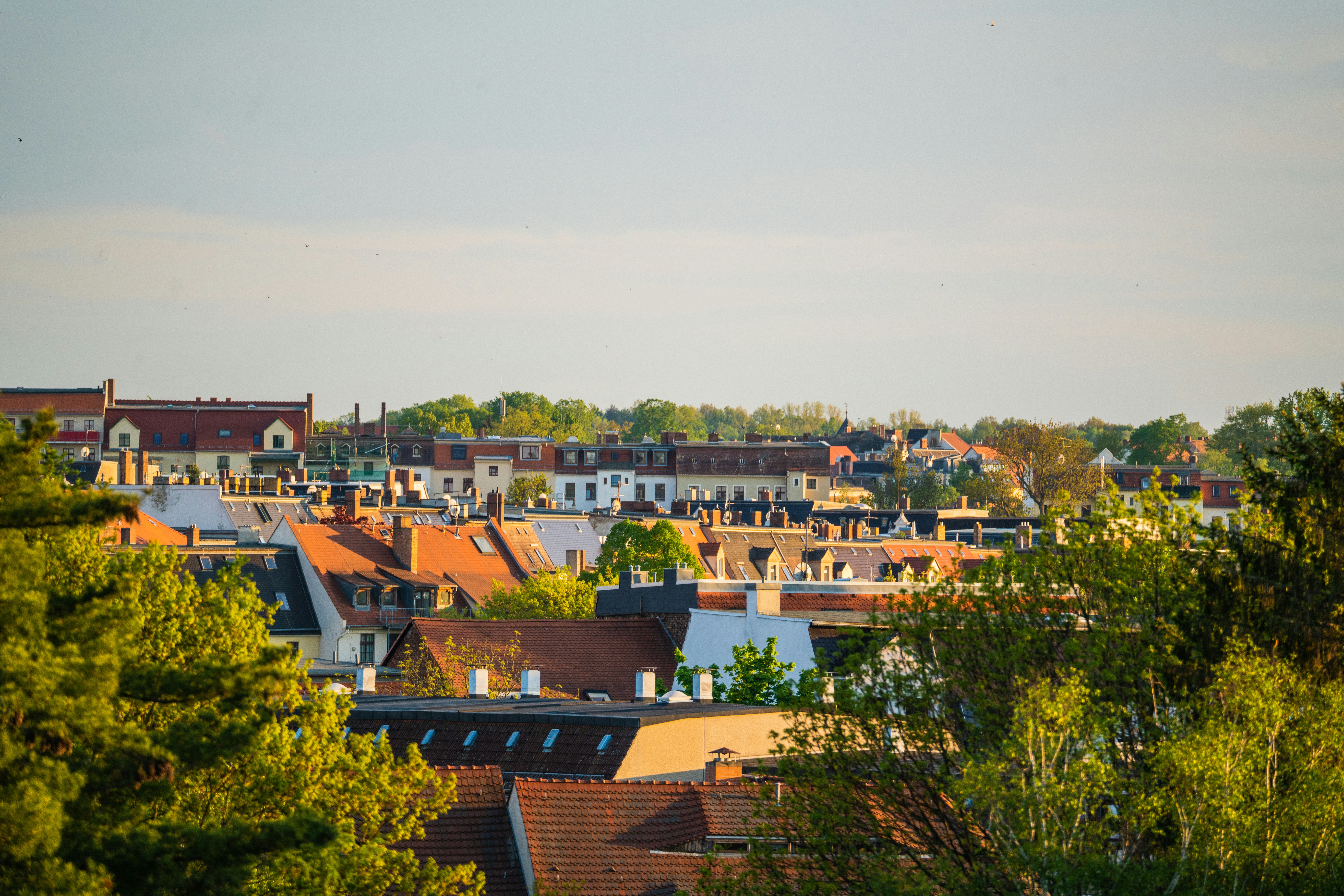 Photo by dmaxsilencer